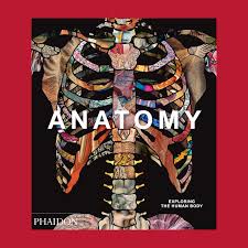Anatomy, Exploring the Human Body